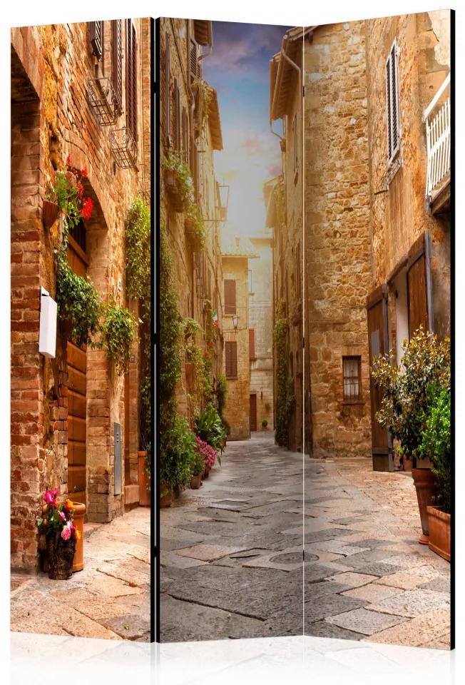 Paravan - Colourful Street in Tuscany [Room Dividers]