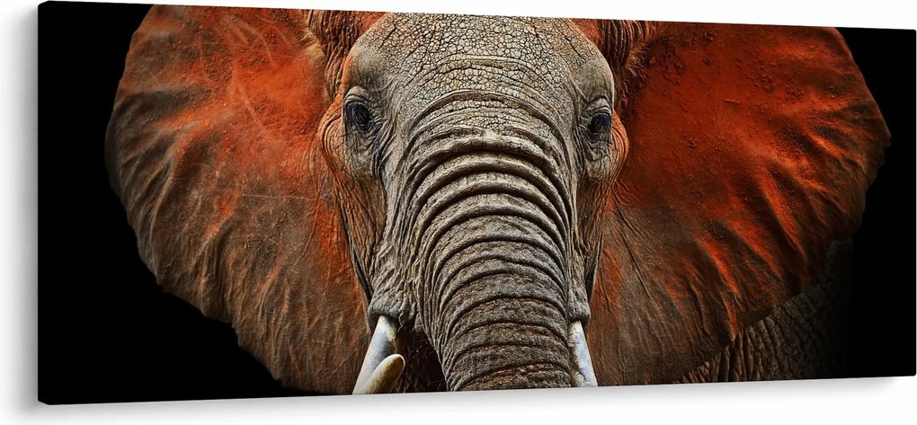 Tablou - Elefanți cu Tsavo (120x50 cm)