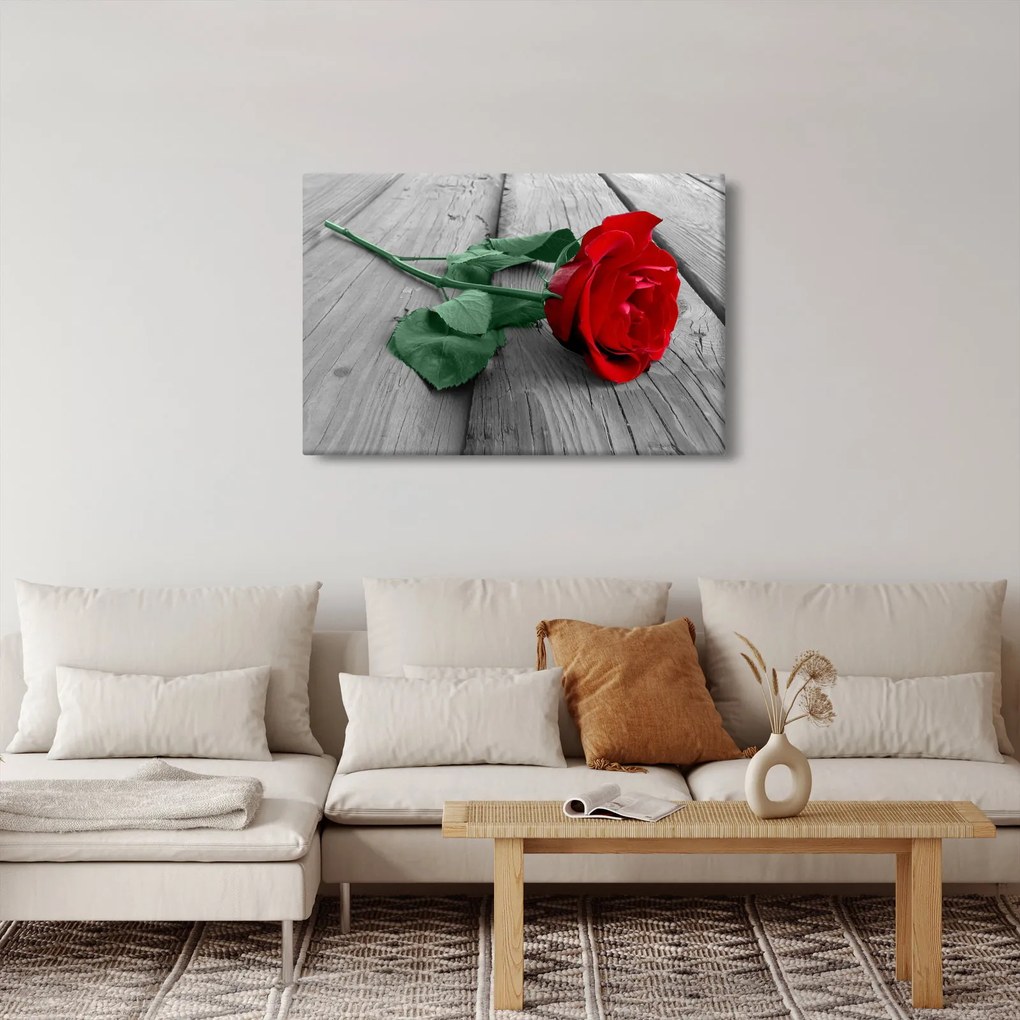 Tablou - Trandafir roșu cu tulpină verde (90x60 cm)
