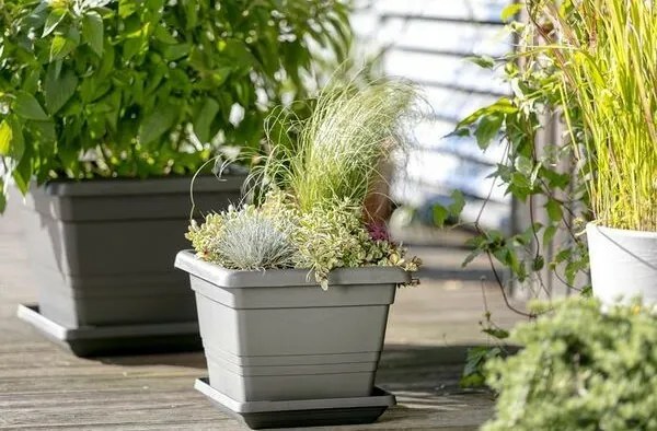 Plastia Ghiveci Begonia 60 x 60, gri deschis