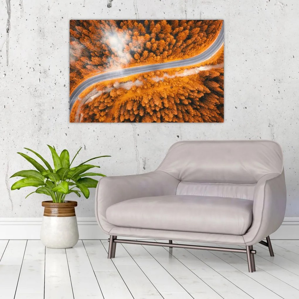 Tablou - Strada montană (90x60 cm)