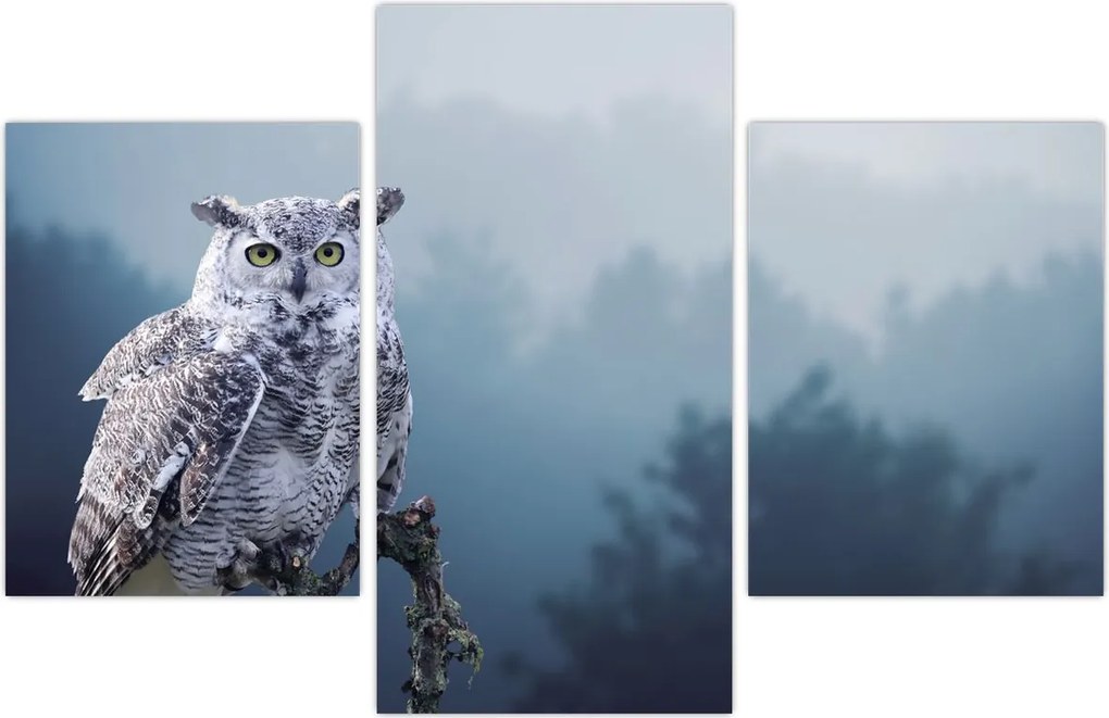 Tablou - Bufniță de zăpadă (90x60 cm)