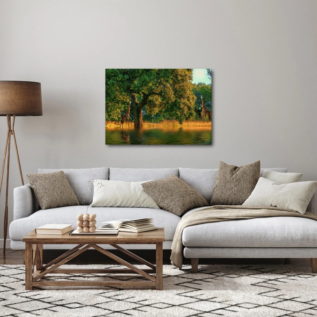 Tablou cu girafe în natură (70x50 cm)
