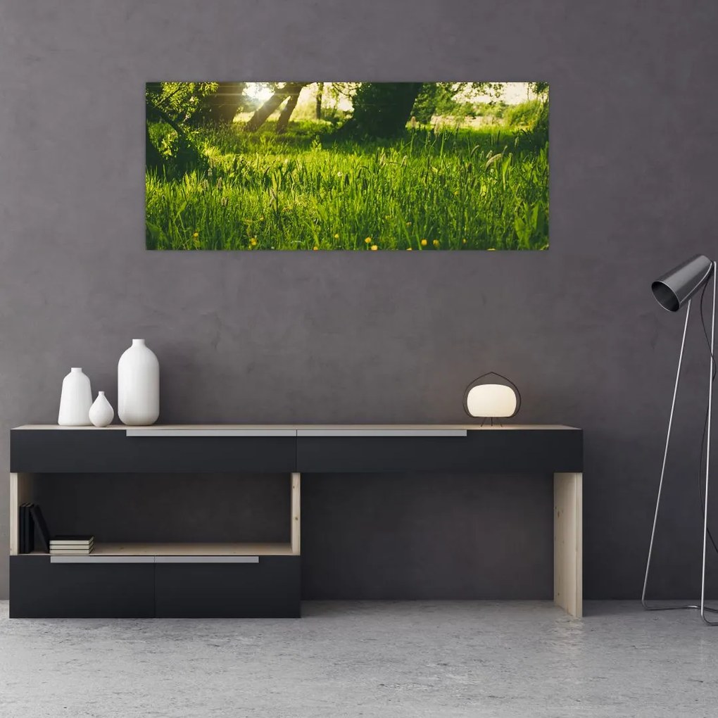 Tablou cu natura - lunca (120x50 cm)