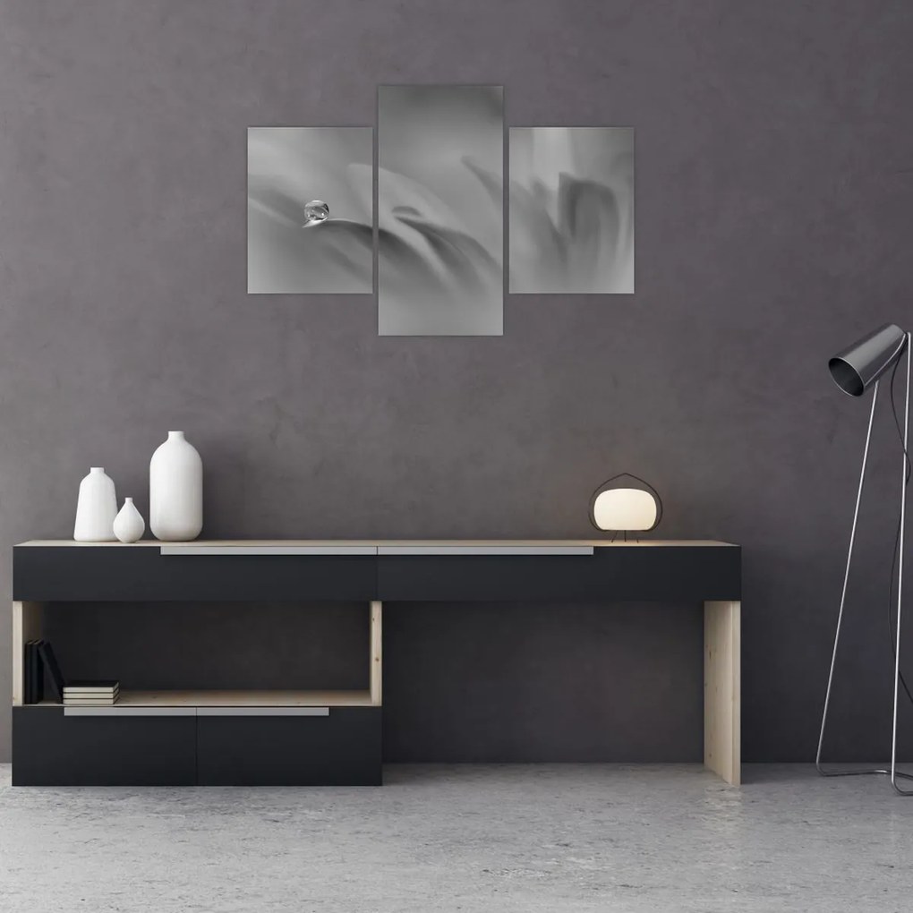 Tablou - Picătură pe floare,alb-negru (90x60 cm)