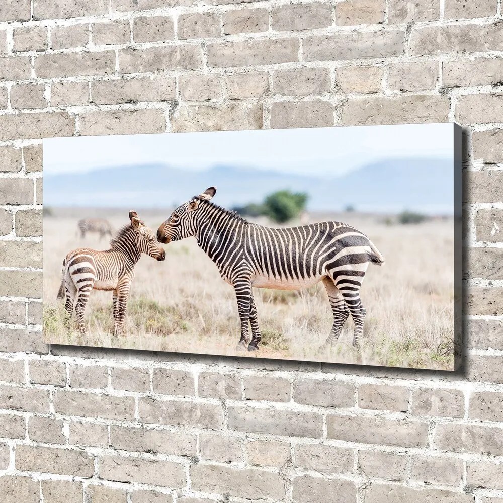 Print pe canvas Zebre în munți