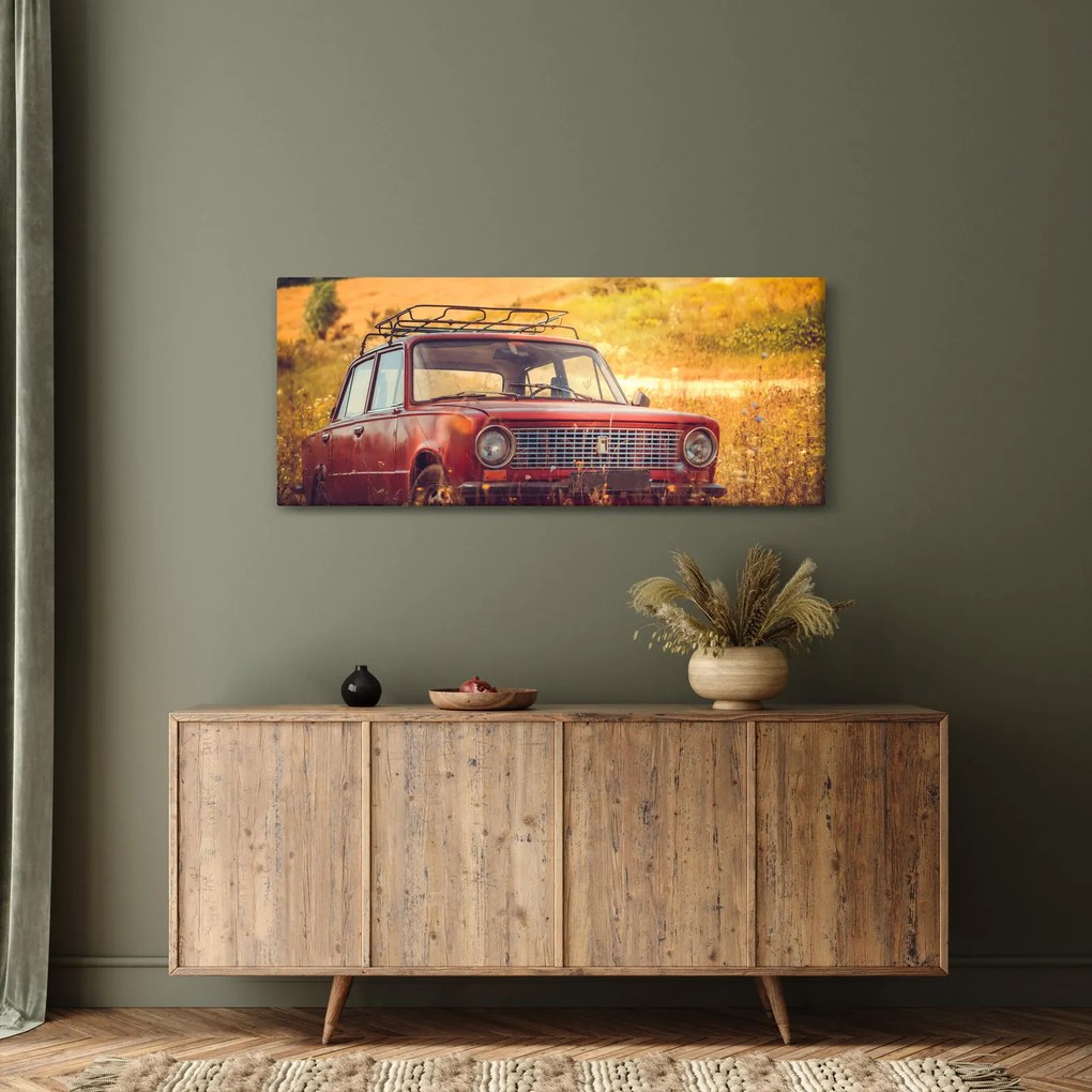 Tablou cu mașină în câmp (120x50 cm)