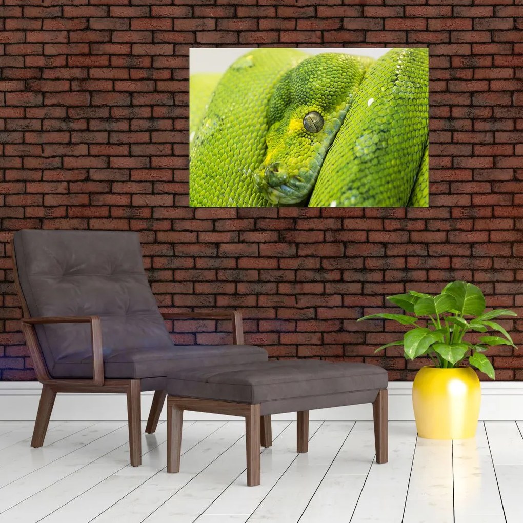 Tablou cu șarpe (90x60 cm)
