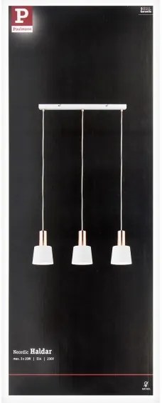 Lustră pe cablu 3xE14/20W NEORDIC HALDAR 230V Paulmann 79657