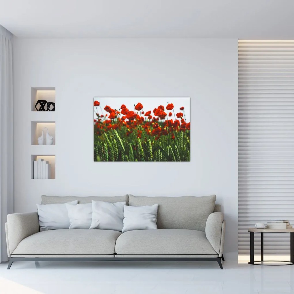 Tablou - Maci în vânt (90x60 cm)