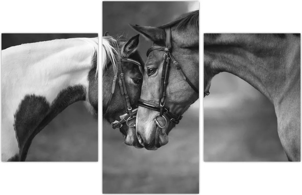 Tablou - Cai îndrăgostiți,alb-negru (90x60 cm)