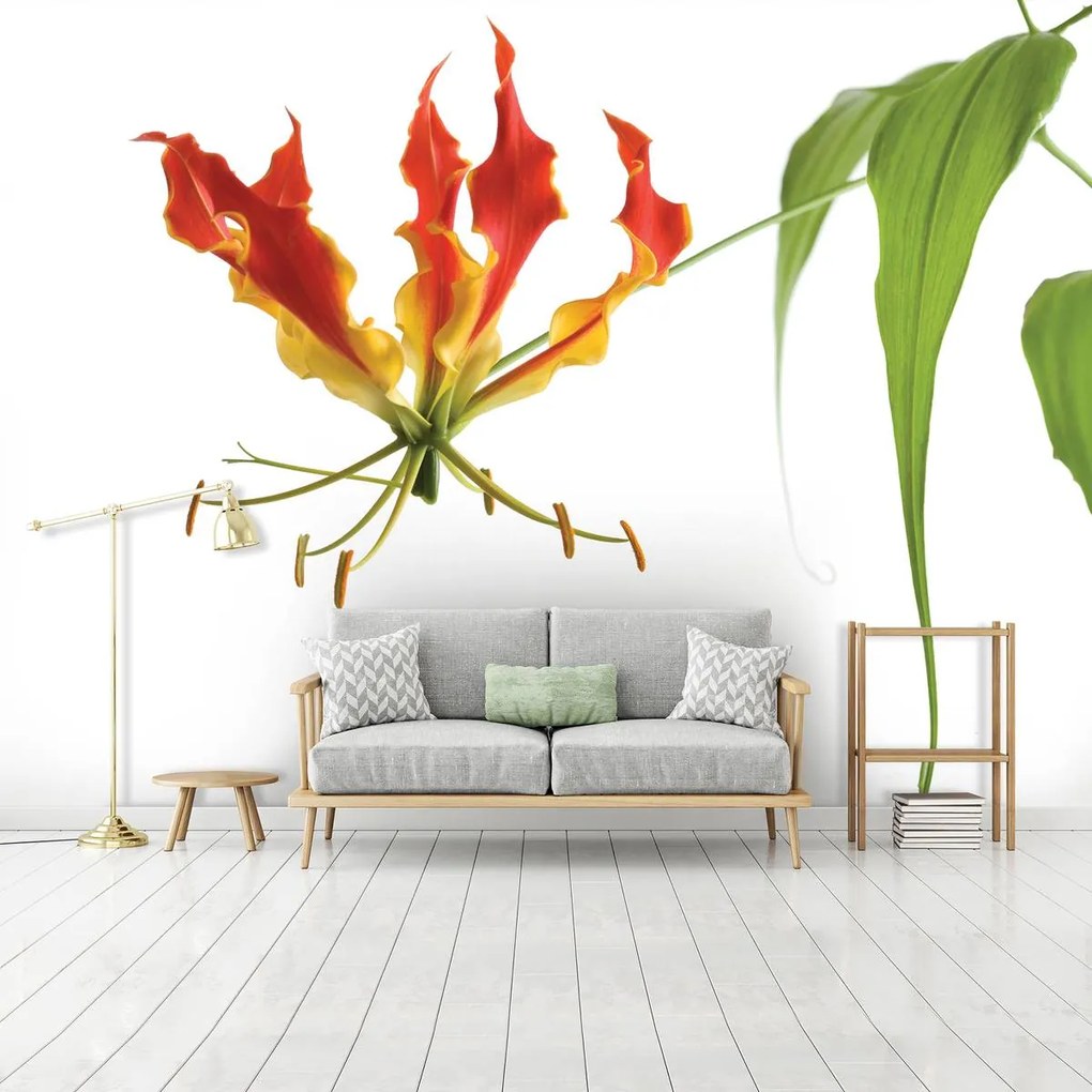 Fototapet - Flori (152,5x104 cm)