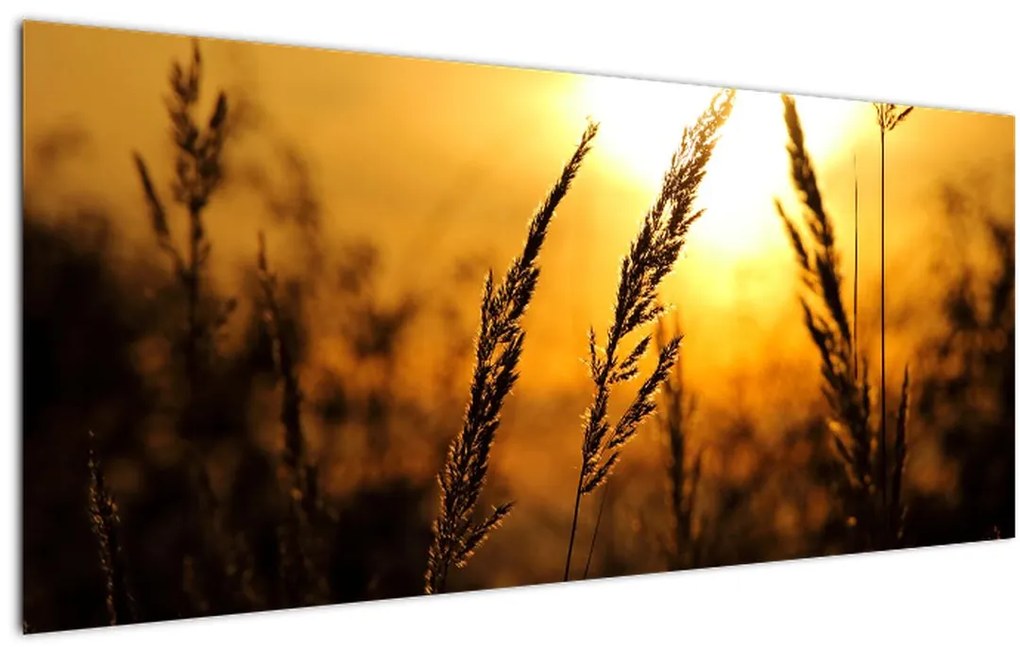 Tablou - Apus de soare (120x50 cm)