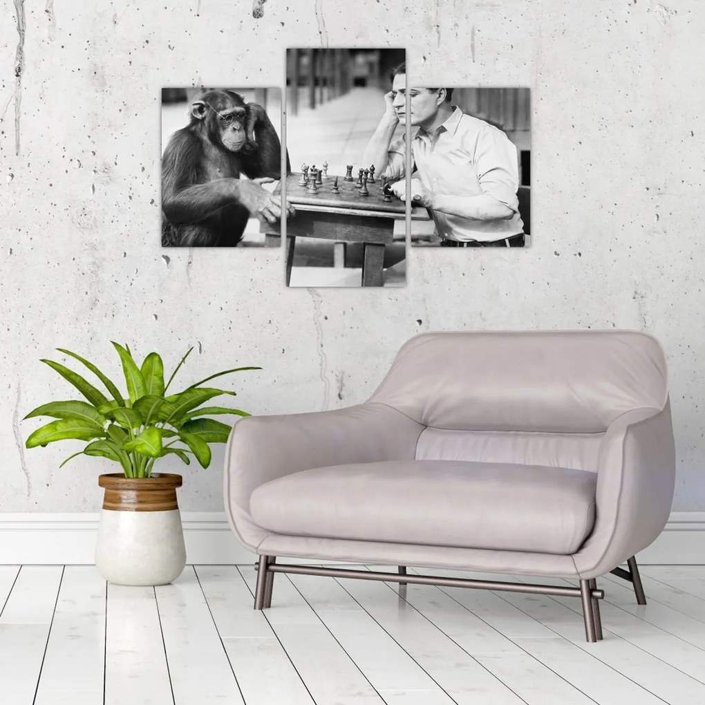 Tablou - Circ 2 (90x60 cm)