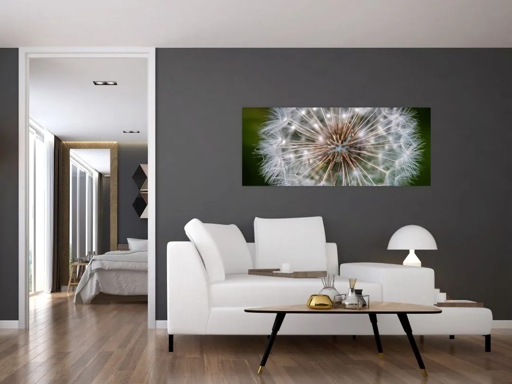 Tablou cu păpădie (120x50 cm)