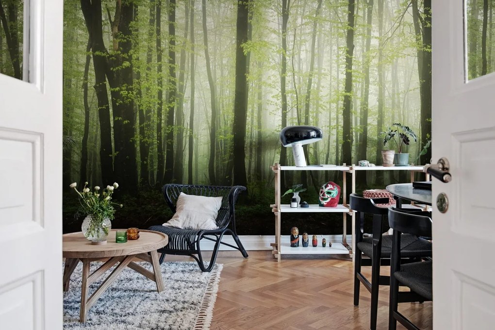 Fototapet, Dawn in the Forest, Rebel Walls