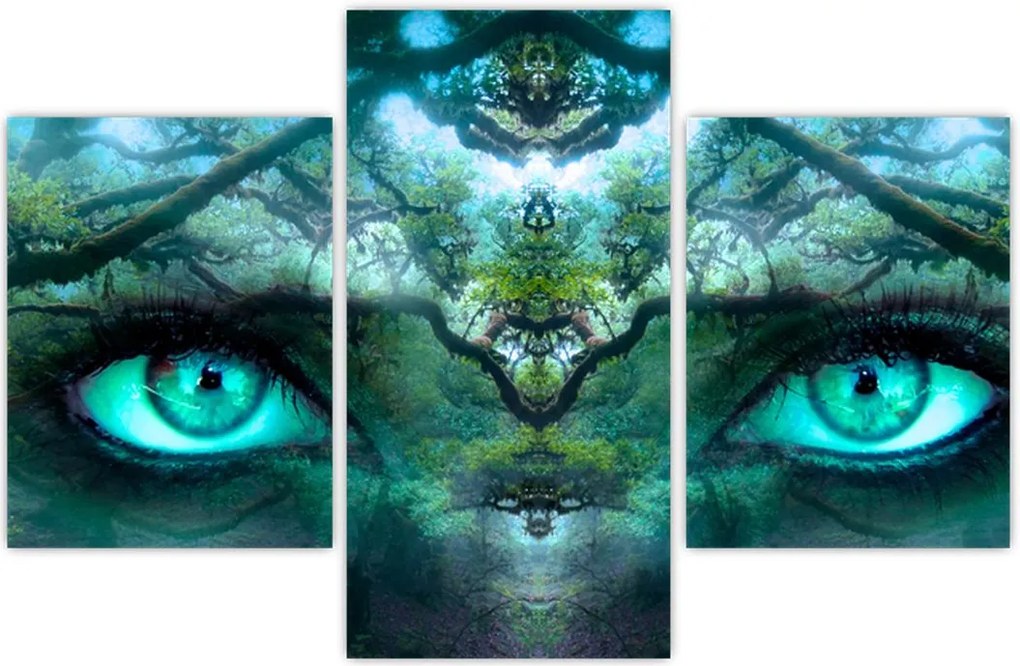 Tablou - Privire (90x60 cm)