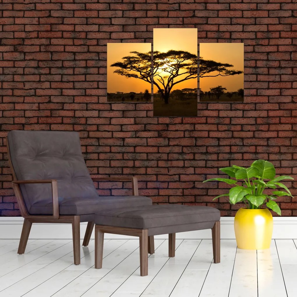 Tablou - Savana africană (90x60 cm)