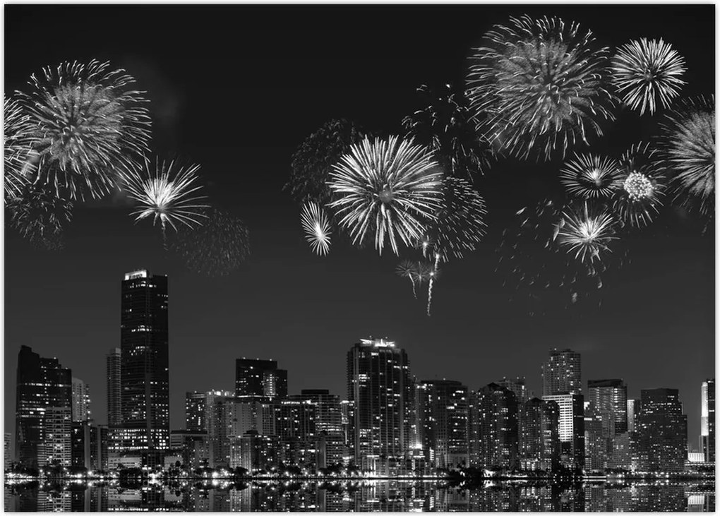 Tablou - Artificii in Miami (70x50 cm)