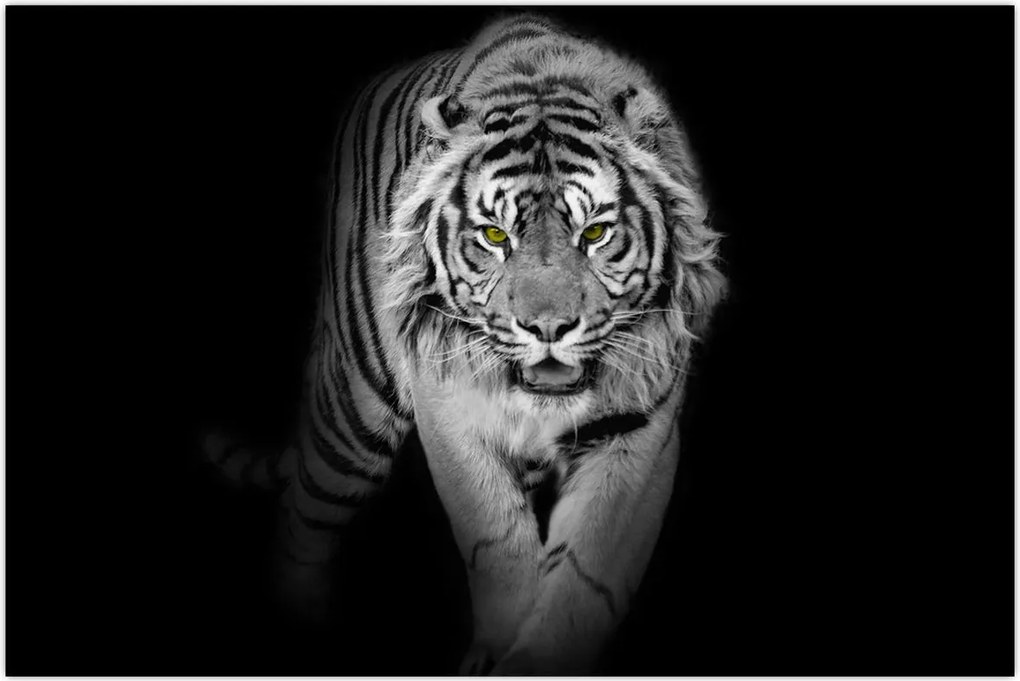 Tablou - Tigru cu ochi galbeni (90x60 cm)