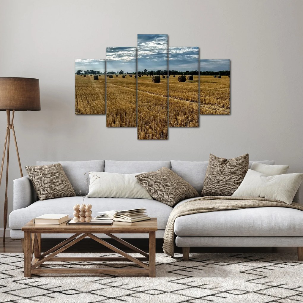 Tablou cu câmp recoltat (150x105 cm)