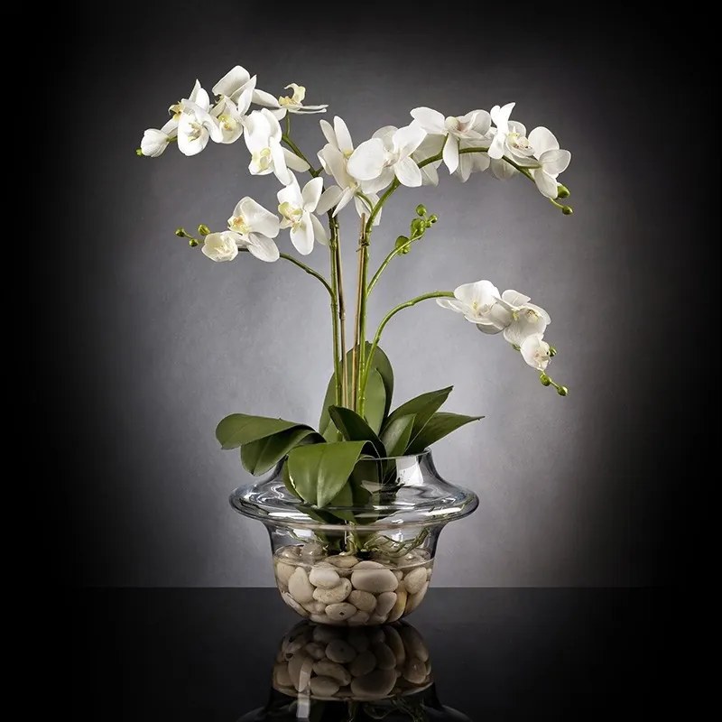 Aranjament floral LIGHT ATOLLO 2 PHALENOPSIS MEDIUM 1141374.95