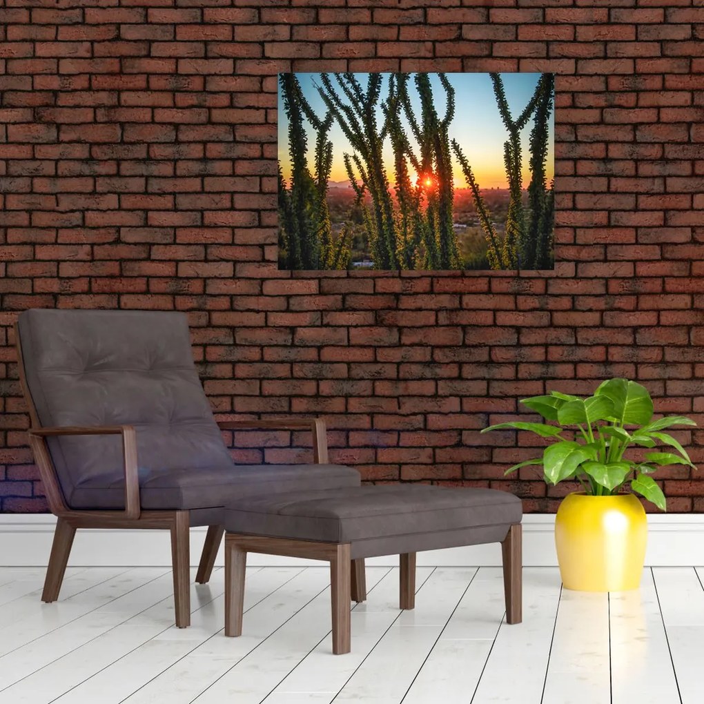 Tablou - Plante (70x50 cm)