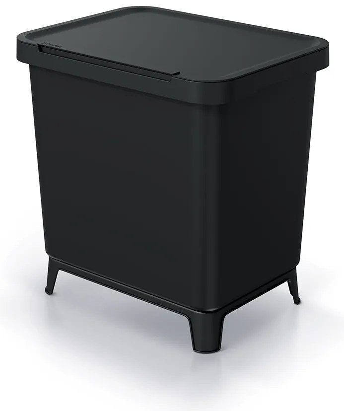 Coș de gunoi, 2 x 10 l, negru