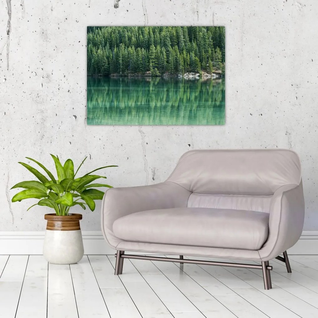 Tablou - Coniferi lângă lac (70x50 cm)