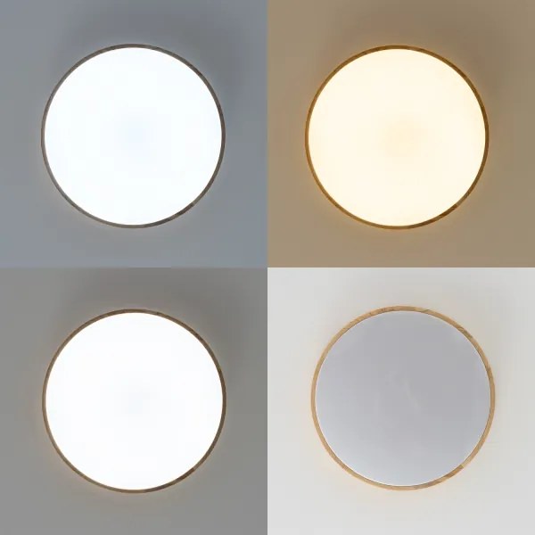 Brilagi - Plafonieră LED dimabilă PINE LED/60W/230V + telecomandă