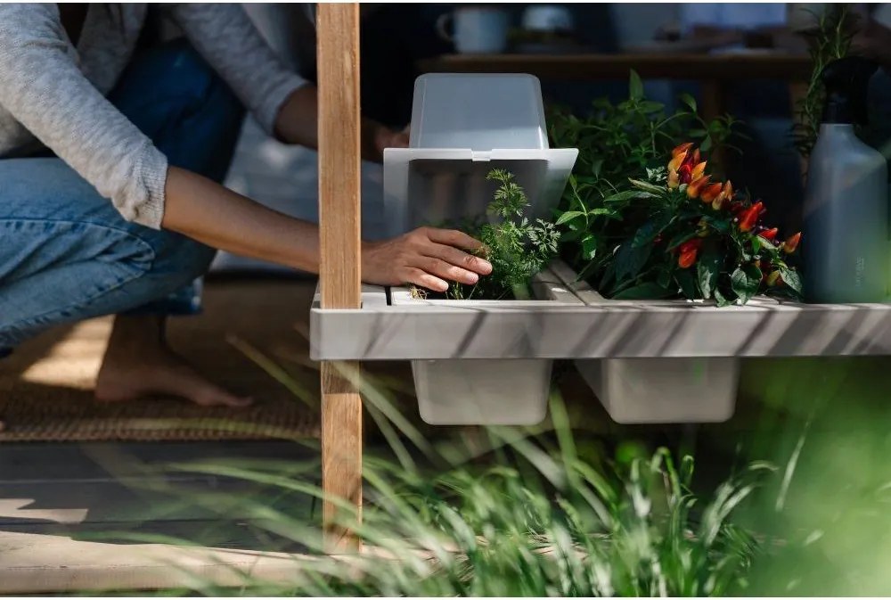 Pat ridicat de plante – Plastia