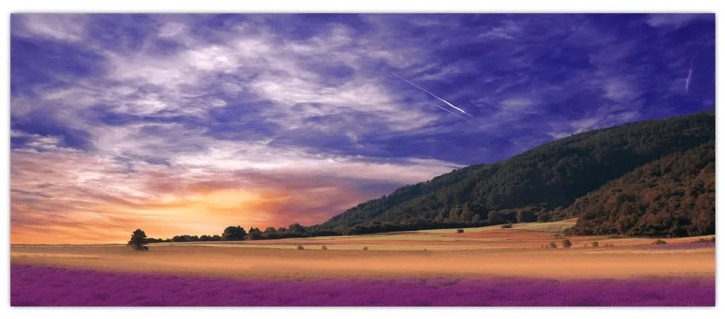 Tablou cu lunca cu lavandă (120x50 cm)