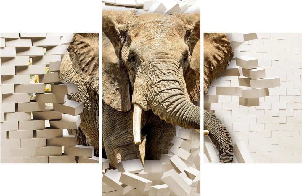Tablou - Elefant spârgând peretele (90x60 cm)