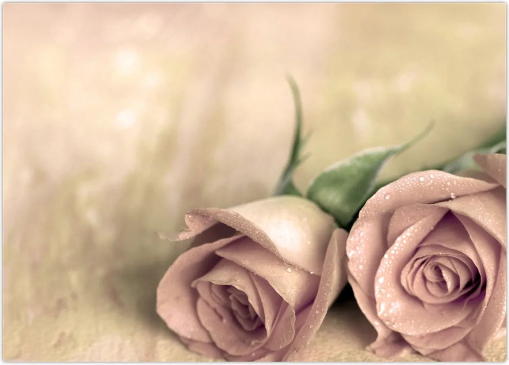 Tablou - Trandafiri fine (70x50 cm)