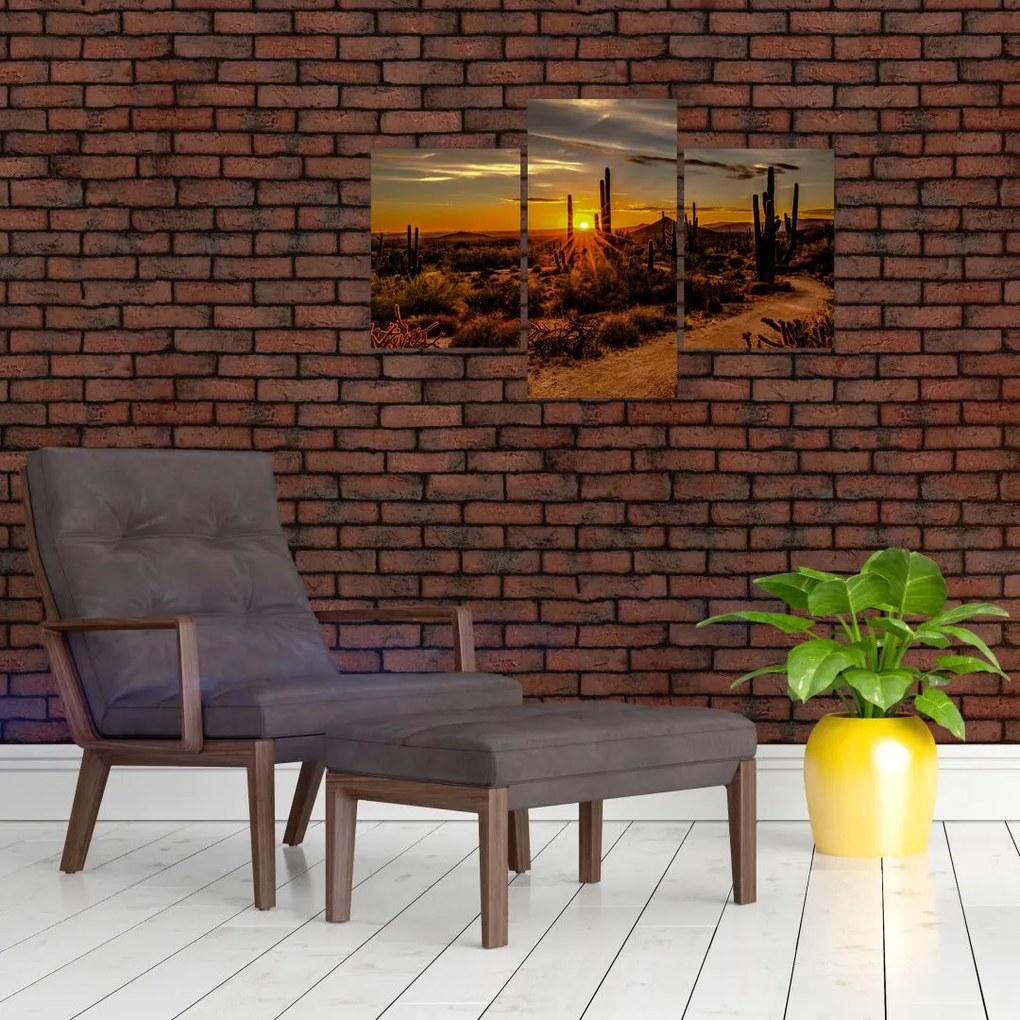 Tablou - Sfărșit de zi în deșertul Arizona (90x60 cm)