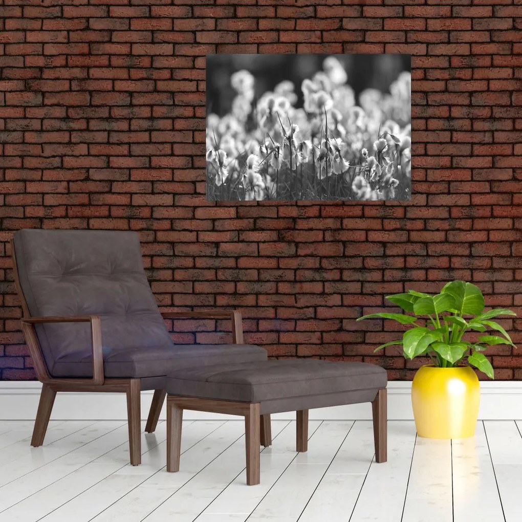 Tablou pe sticlă - Pajiște de vară (70x50 cm)