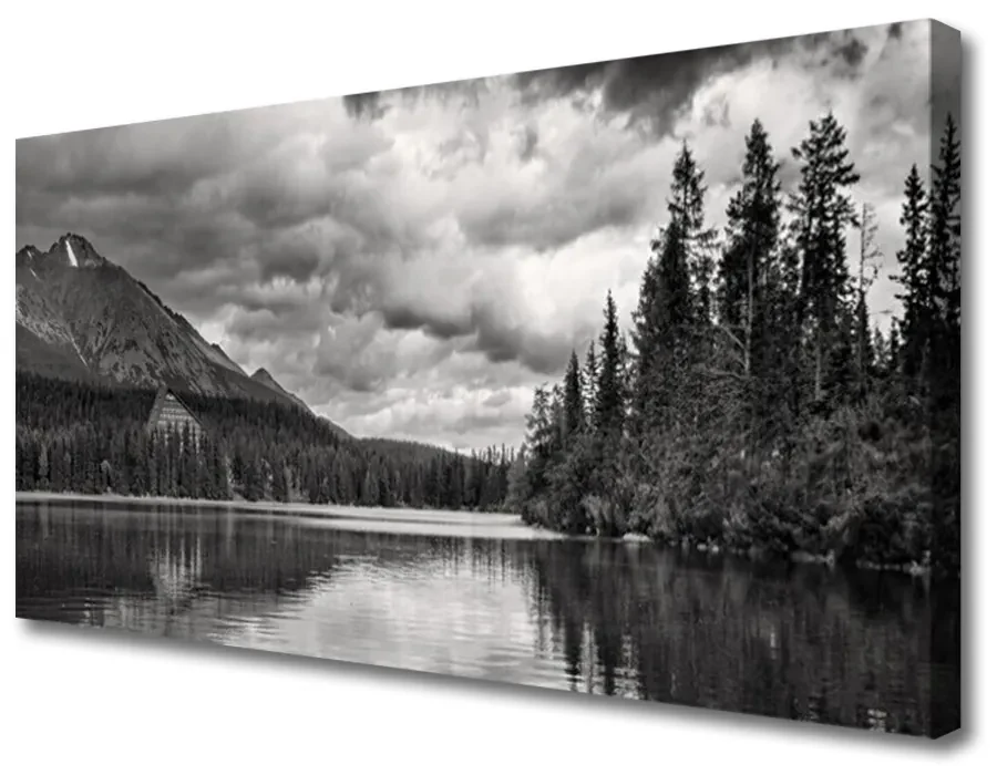 Tablou pe panza canvas Mountain Forest Lake Nature Gray