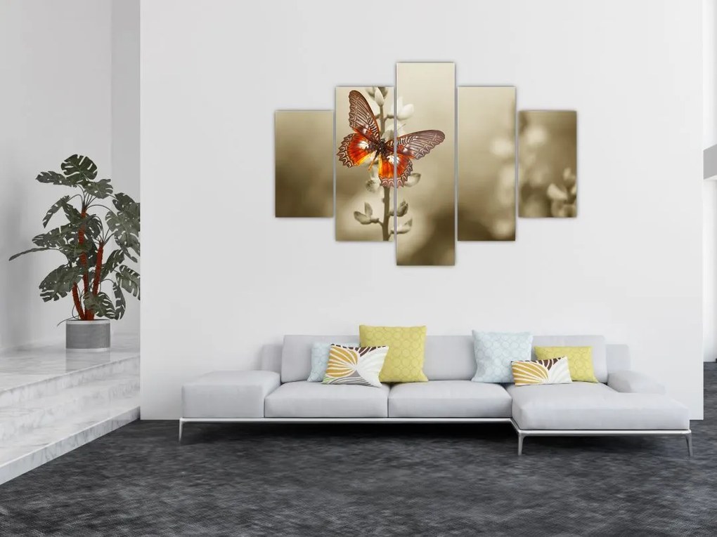 Tablou cu fluture (150x105 cm)