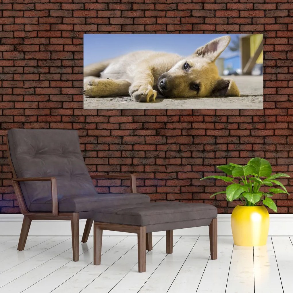 Tablou cu cățeluș dormind (120x50 cm)
