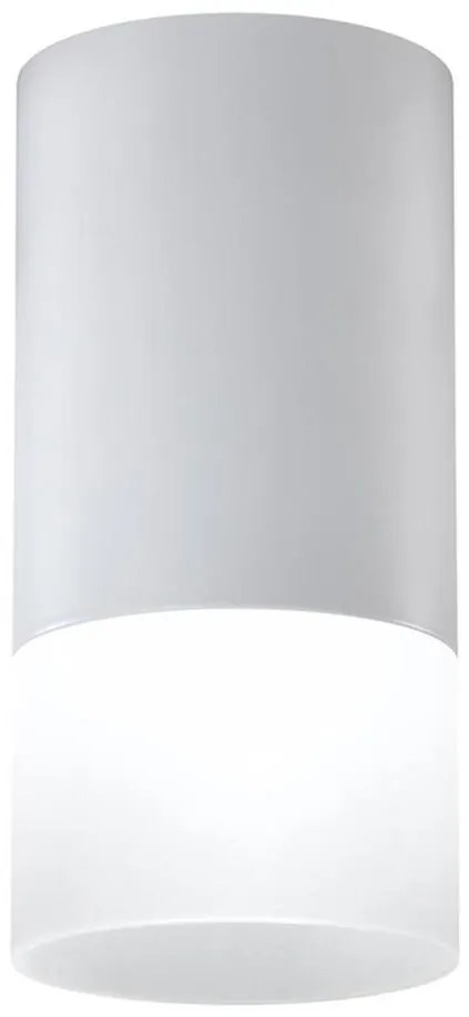 Spot TUBA 1xGU10/15W/230V gri/alb