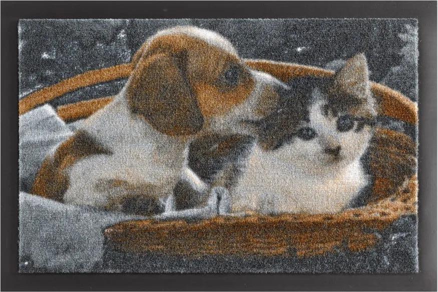 Covor Hanse Home Animals Dog and Cat, 40 x 60 cm
