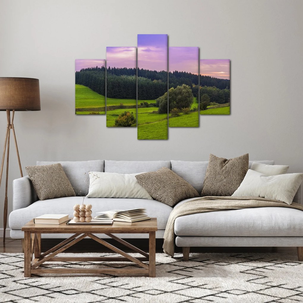 Tablou cu lunca (150x105 cm)