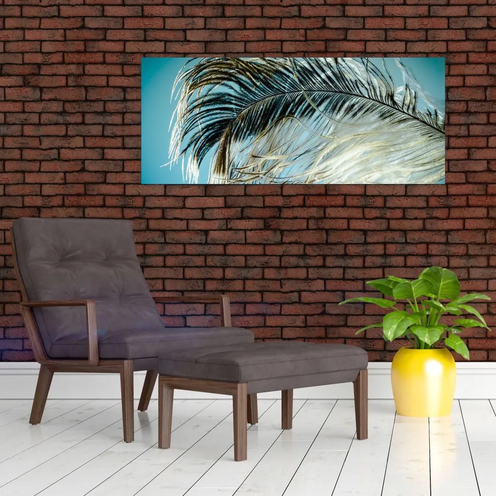 Tablou cu pană (120x50 cm)