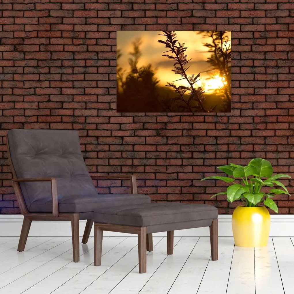 Tablou - Apus de soare (70x50 cm)