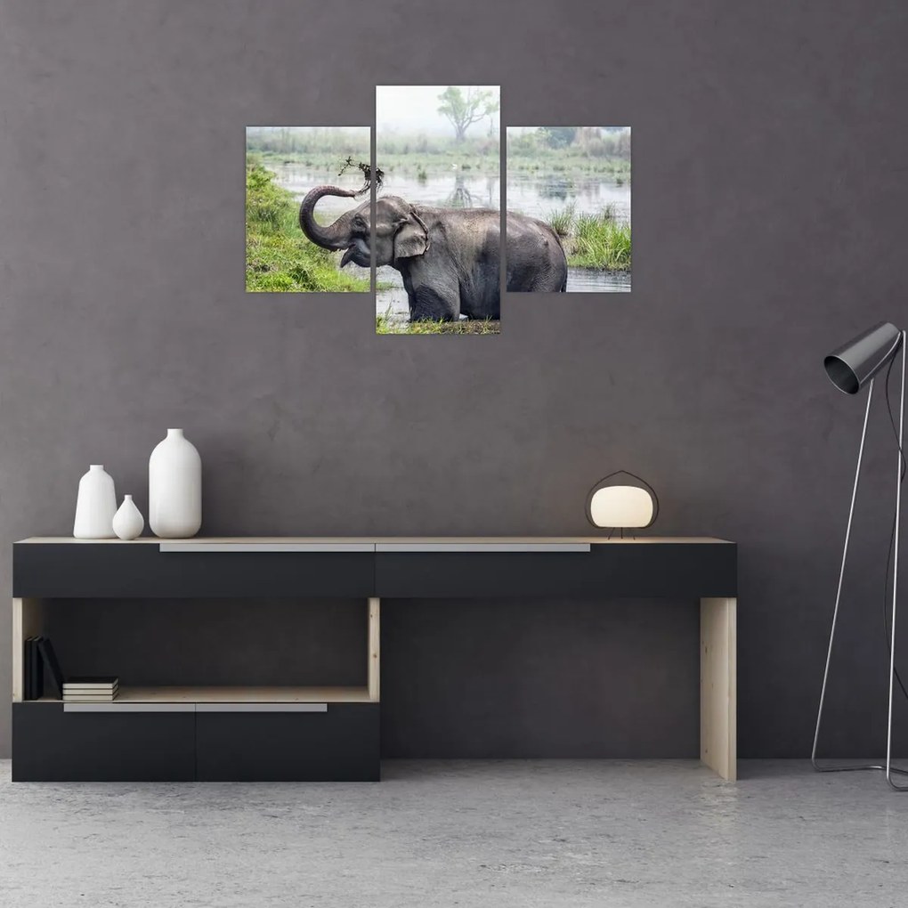 Tablou - Elefant de scăldat (90x60 cm)