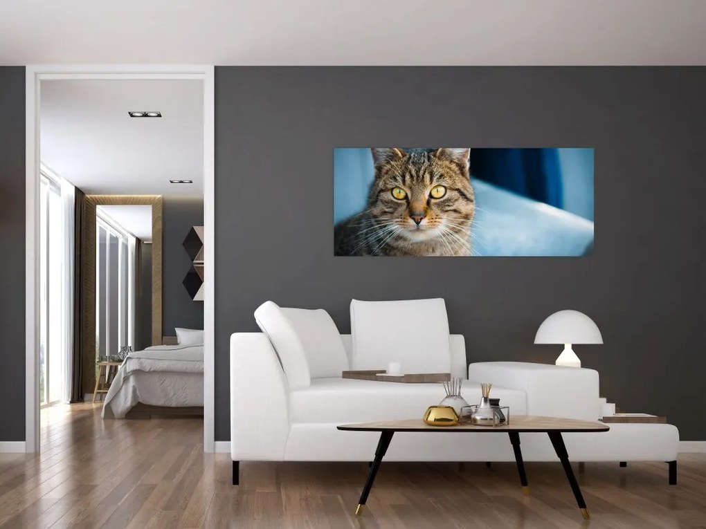 Tablou - Pisica domestică (120x50 cm)