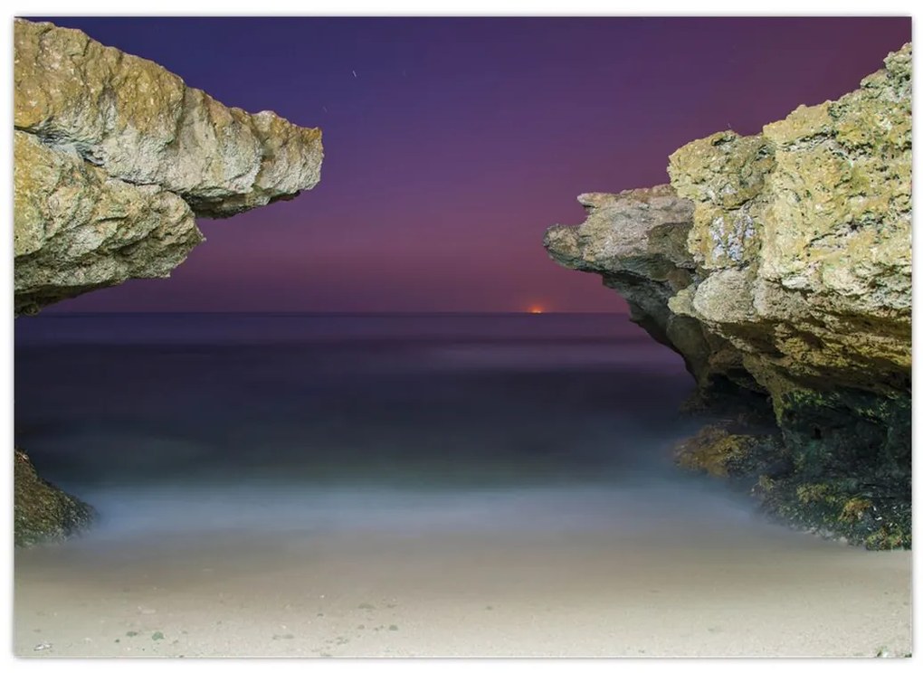 Tablou - recif de mare (70x50 cm)