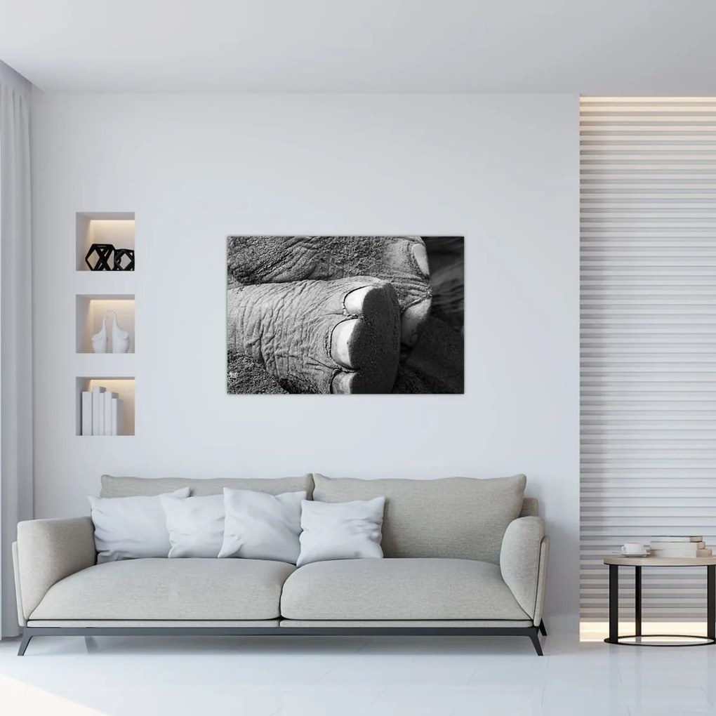 Tablou - Picior de elefant (90x60 cm)