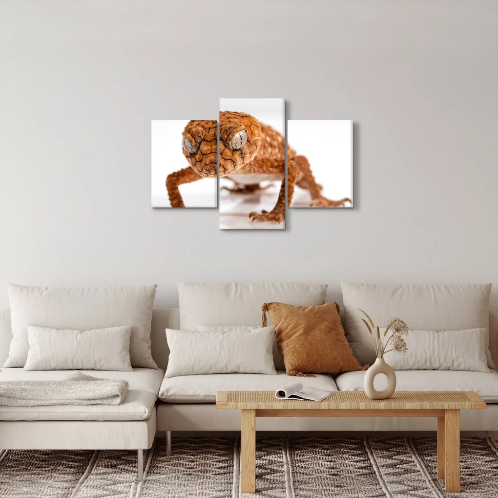 Tablou cu șopârlă (90x60 cm)