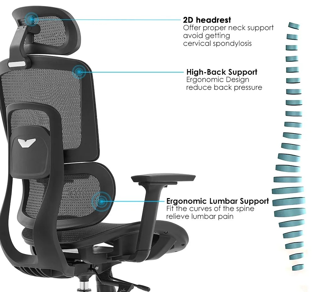Ergodynamic Gary H - Scaun de birou - Full mesh - black, translatie sezut, brate 3D
